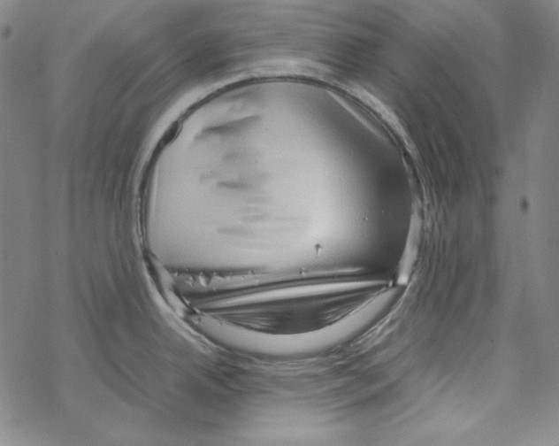 X0000067521342200605051845