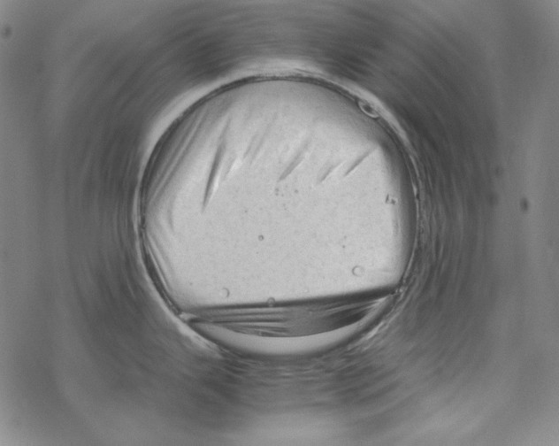 X0000067521343200605051845