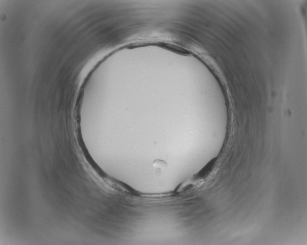 X0000067521344200605051845