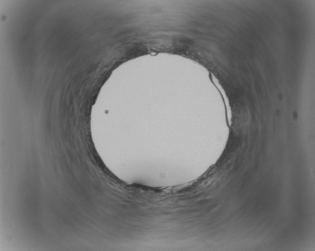 X0000067521345200605051844