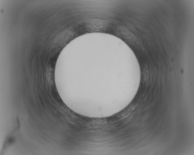 X0000067521346200605051844