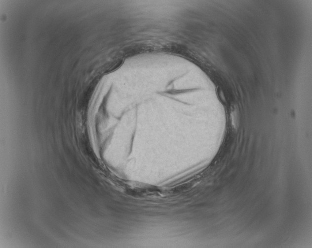 X0000067521347200605051844