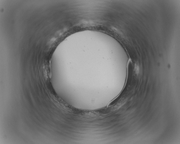 X0000067521348200605051844