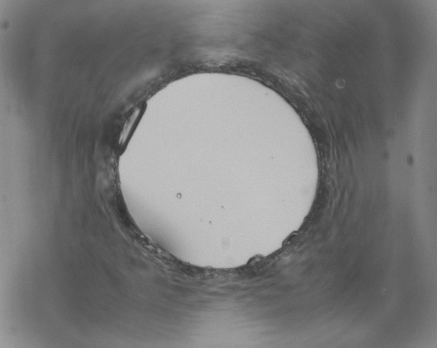 X0000067521349200605051844