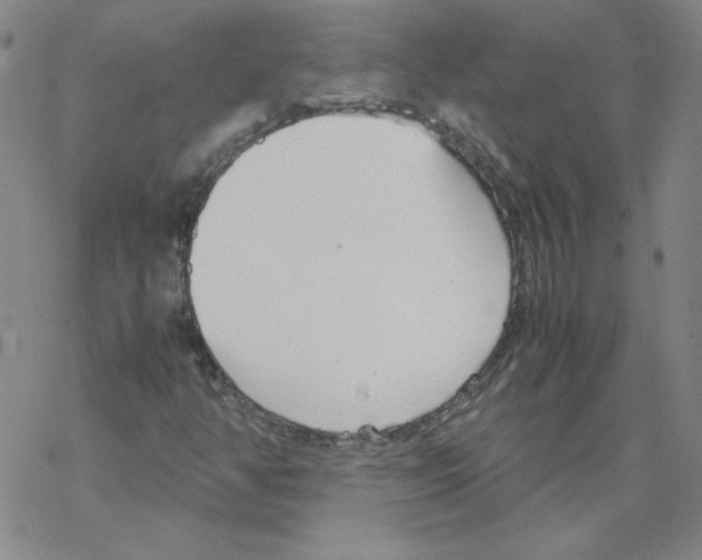 X0000067521350200605051844