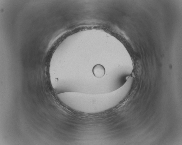 X0000067521352200605051844