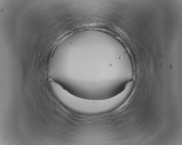 X0000067521353200605051844