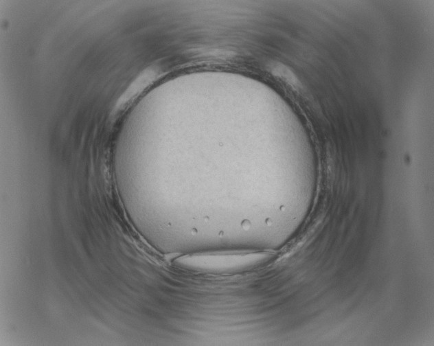 X0000067521354200605051844