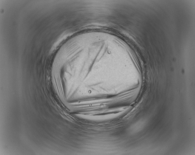 X0000067521355200605051844