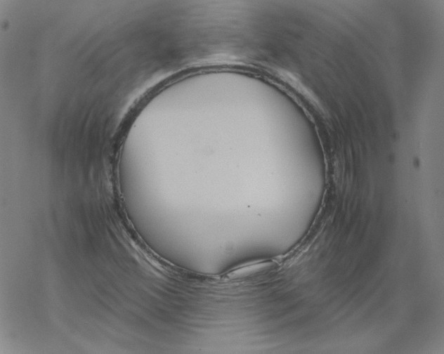 X0000067521356200605051844