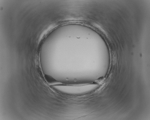 X0000067521357200605051844