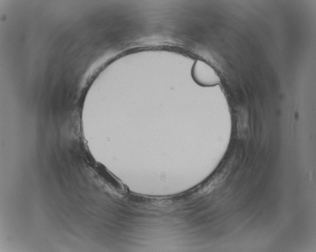 X0000067521358200605051844