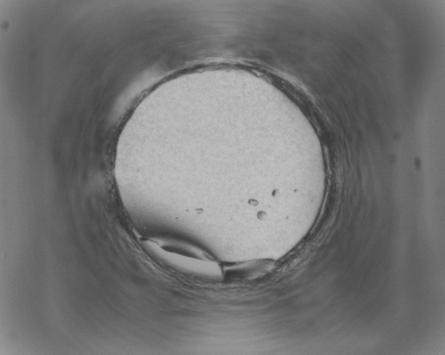 X0000067521359200605051844