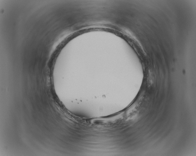 X0000067521360200605051844