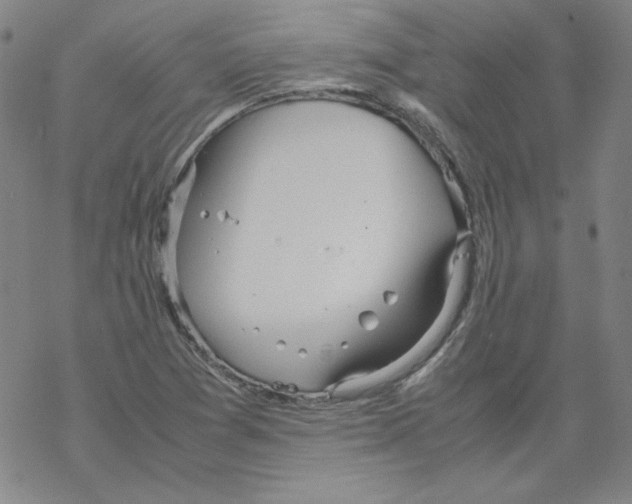 X0000067521361200605051844