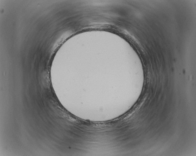 X0000067521362200605051844