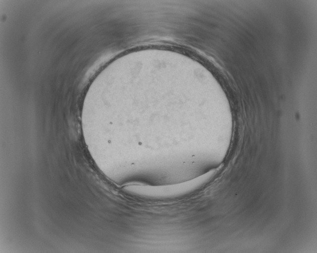 X0000067521363200605051844