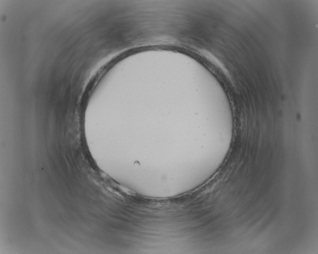 X0000067521364200605051844