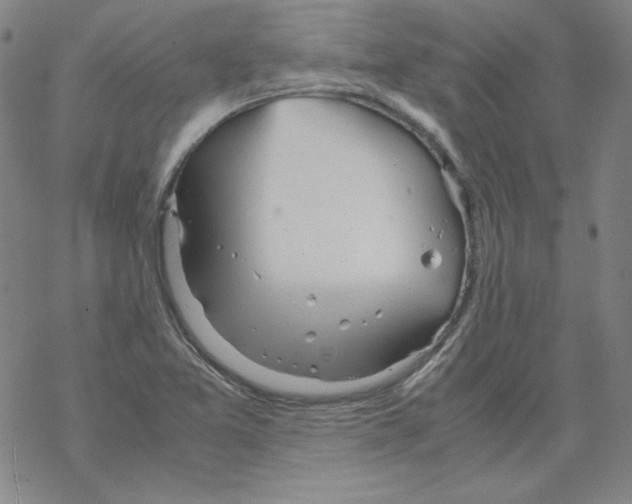 X0000067521365200605051844