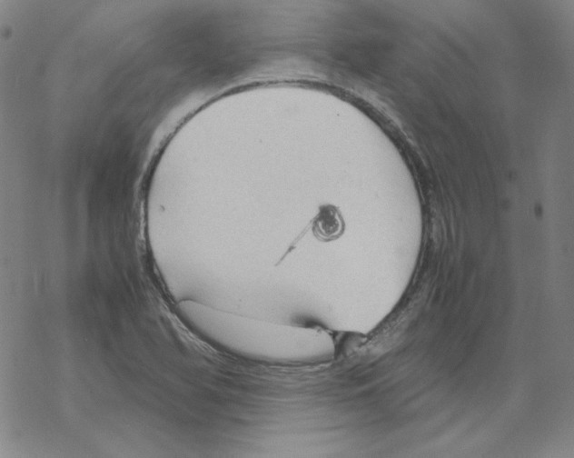 X0000067521366200605051844