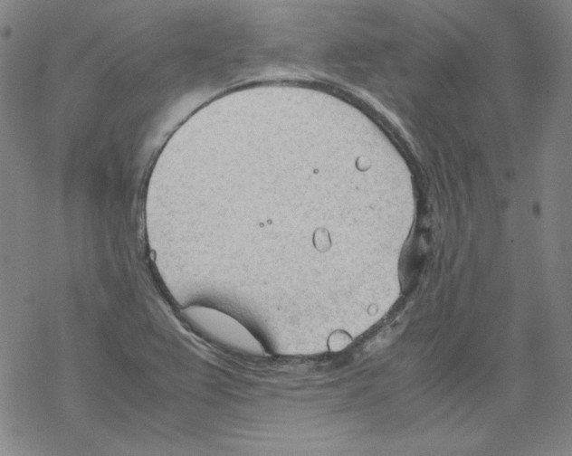 X0000067521367200605051844