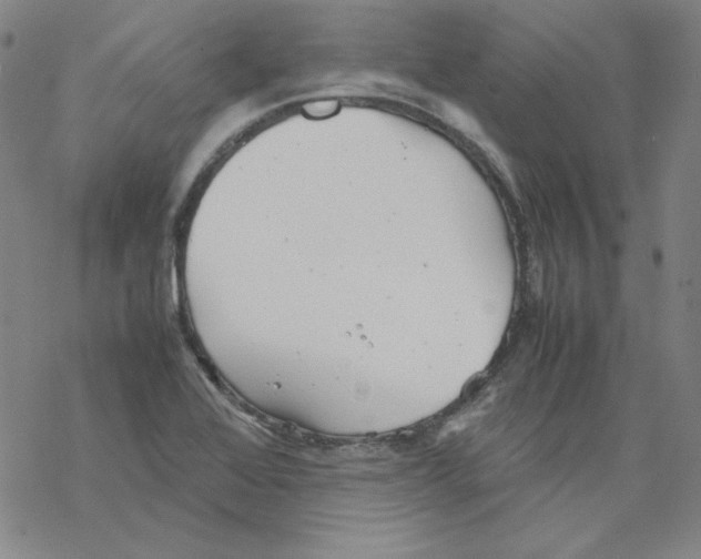 X0000067521368200605051844