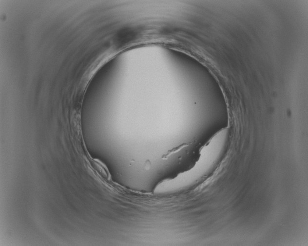 X0000067521369200605051844