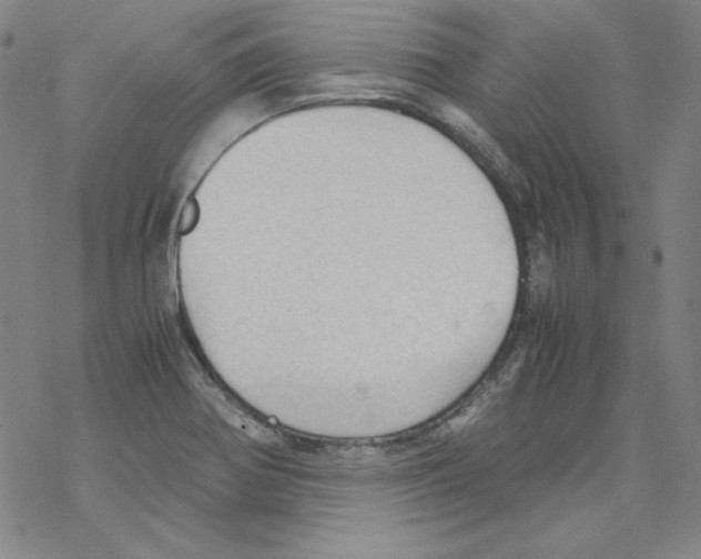 X0000067521370200605051844