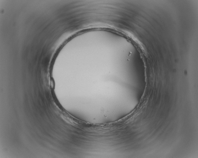 X0000067521372200605051844