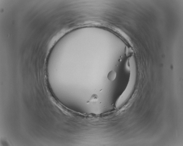 X0000067521373200605051843