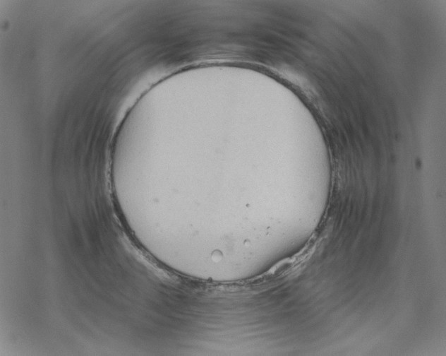 X0000067521374200605051843