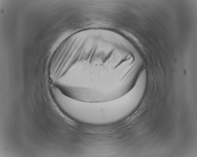 X0000067521375200605051843