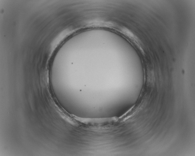 X0000067521376200605051843