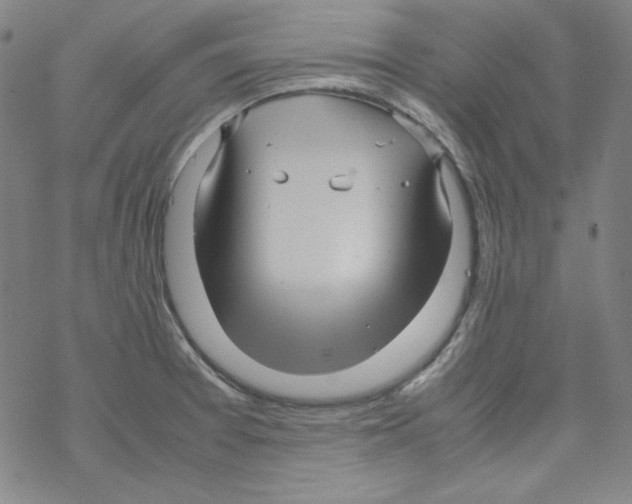 X0000067521377200605051843