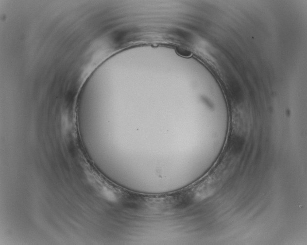 X0000067521378200605051843