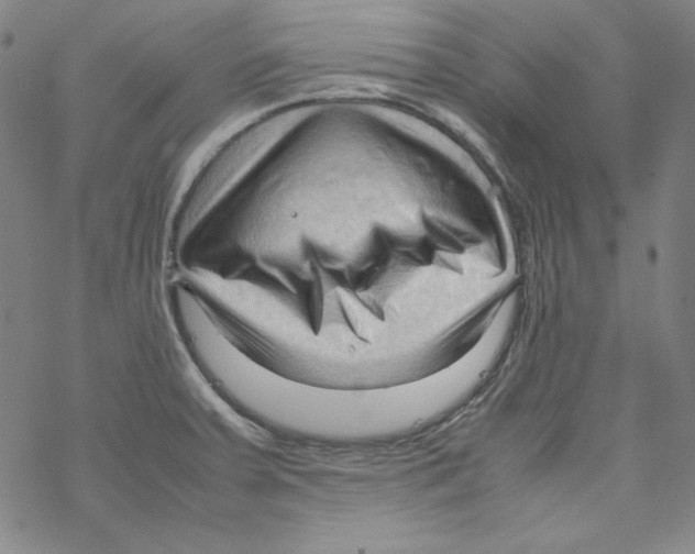 X0000067521379200605051843