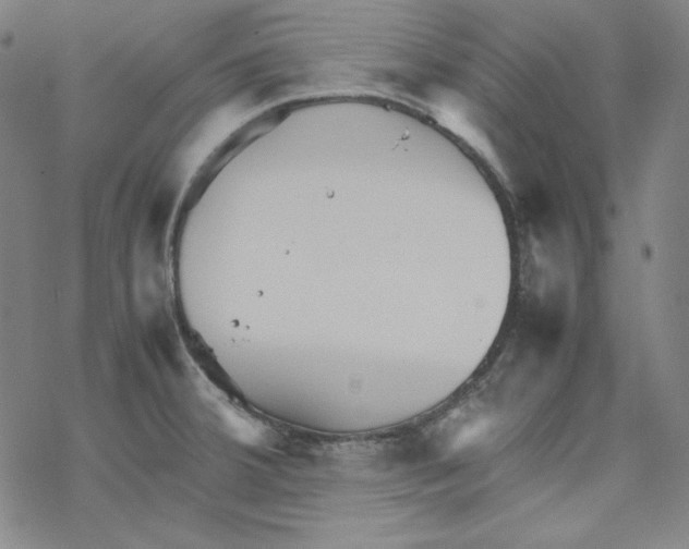 X0000067521380200605051843