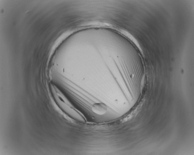 X0000067521381200605051843