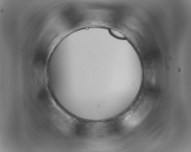 X0000067521382200605051843