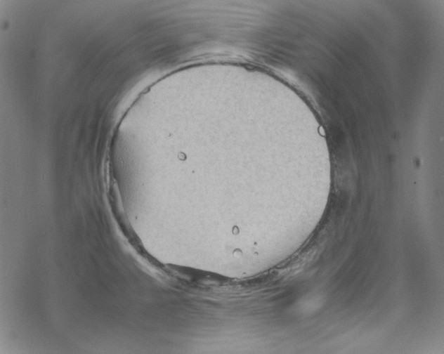 X0000067521383200605051843