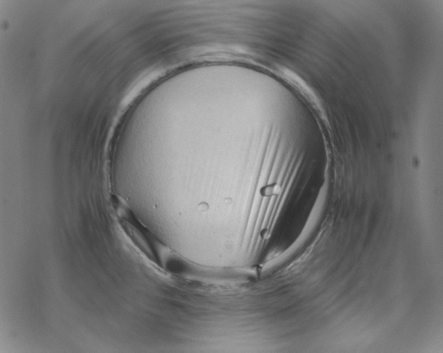 X0000067521384200605051843