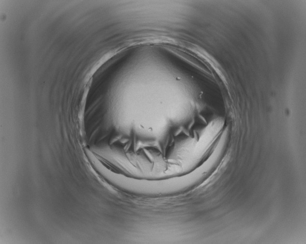 X0000067521385200605051843