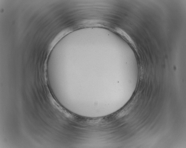 X0000067521386200605051843