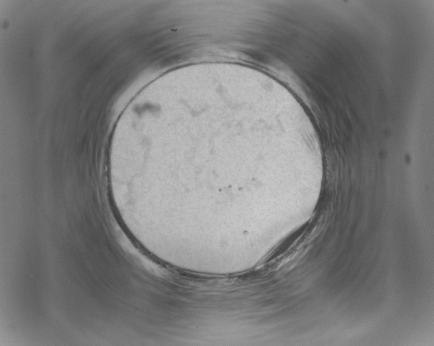 X0000067521387200605051843