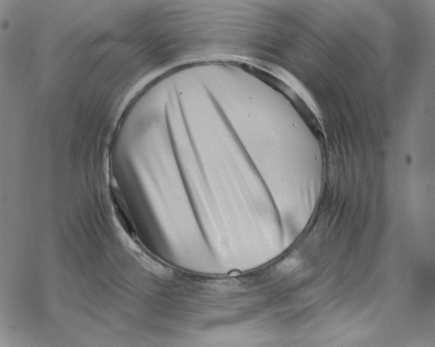 X0000067521388200605051843