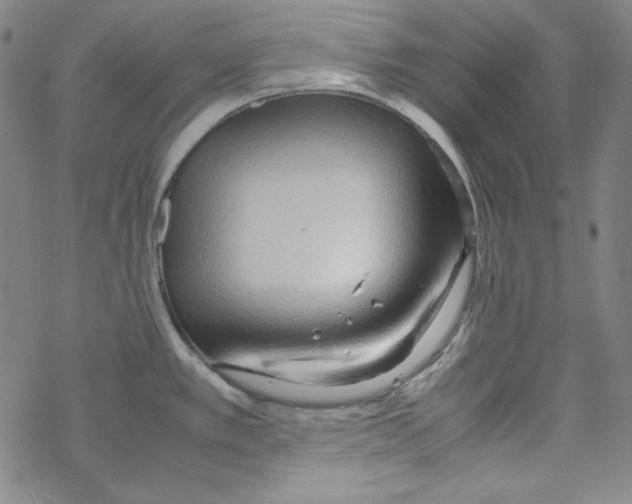 X0000067521389200605051843