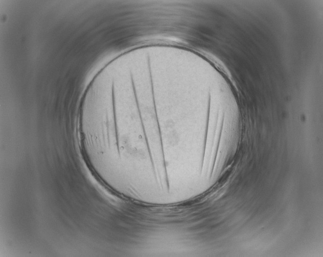 X0000067521391200605051843