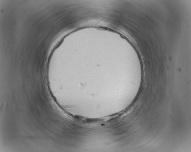 X0000067521392200605051843