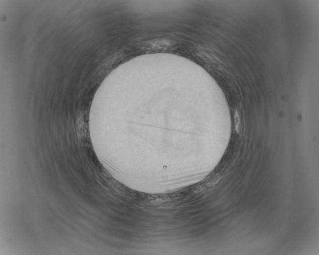 X0000067521395200605051842