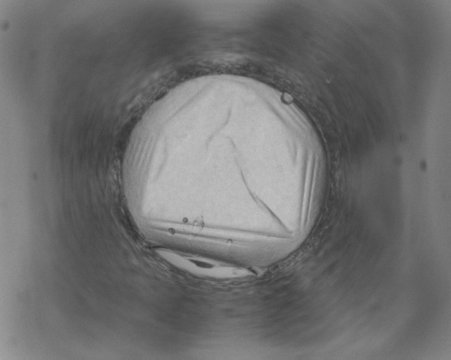 X0000067521397200605051842